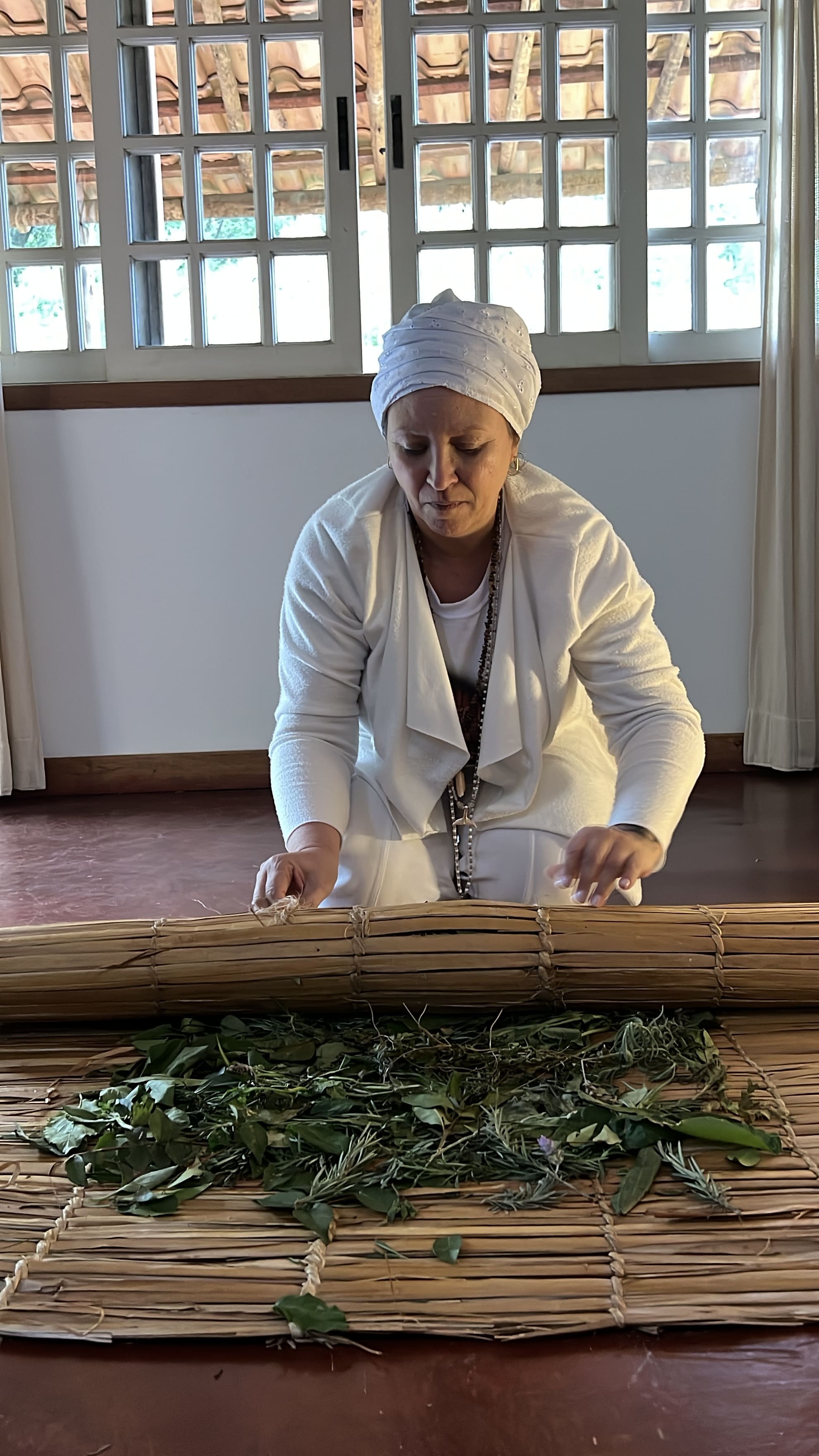 image00007 - Copia.jpeg